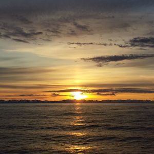 Meet your Posher, Jan